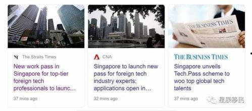 新加坡爆料吧最新消息,揭秘事件背后真相