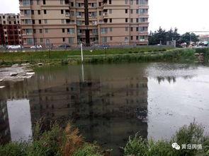 新村大河爆料最新消息,新村大河事件进展揭秘