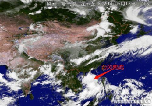 台风鹦鹉最新爆料,最新动态及防范措施全解析”