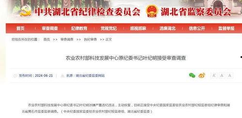 湖北农信社最新爆料新闻,揭开神秘面纱，揭秘内部真相